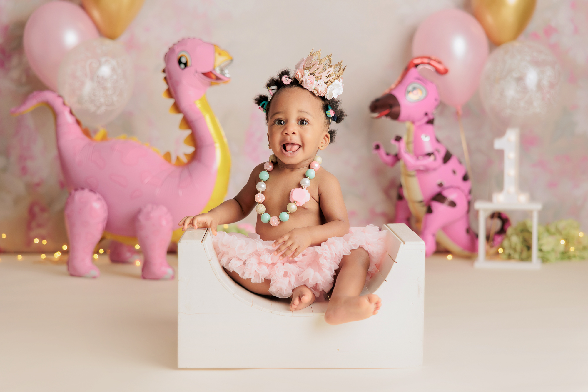 pink dinosaur theme cake smash photography in Calgary