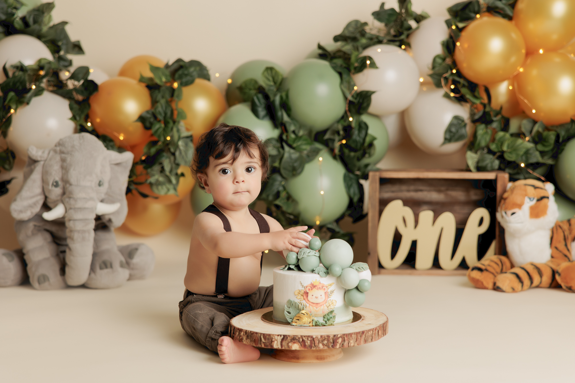 safari theme cake smash photoshoot in Calgary