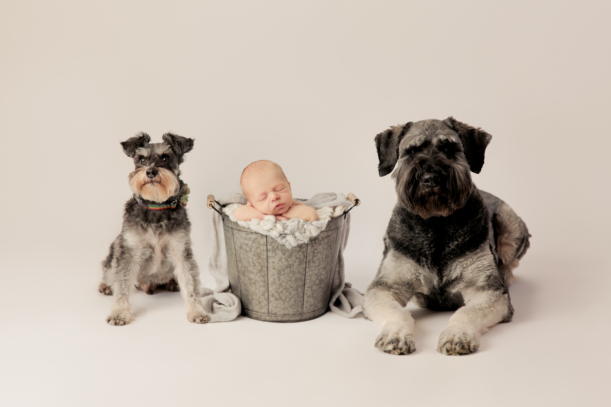 Amanda Dams Photography Newborn Baby Remy 16