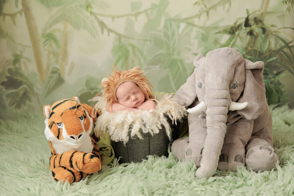 Amanda Dams Photography Newborn Baby Jacob 5 Amanda Dams Photography Newborn Baby Jacob 5