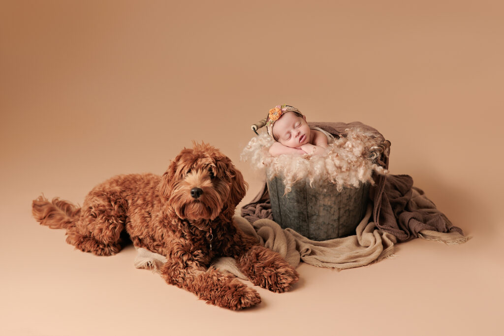 Amanda Dams Photography Newborn Baby Aleya 14 Amanda Dams Photography Newborn Baby Aleya 14