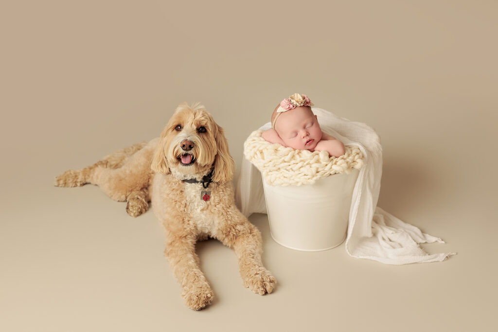 Amanda Dams Photography Newborn Alice 12 Amanda Dams Photography Newborn Alice 12