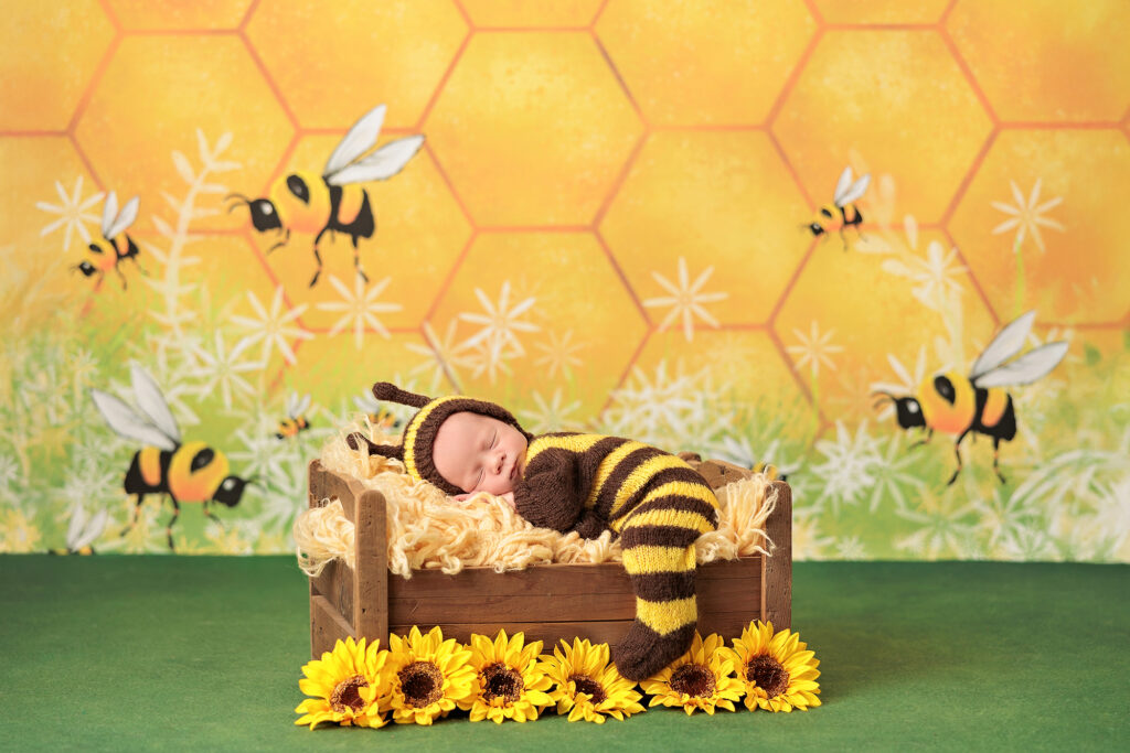 Amanda Dams Photography Newborn Ephraim 7 Amanda Dams Photography Newborn Ephraim 7