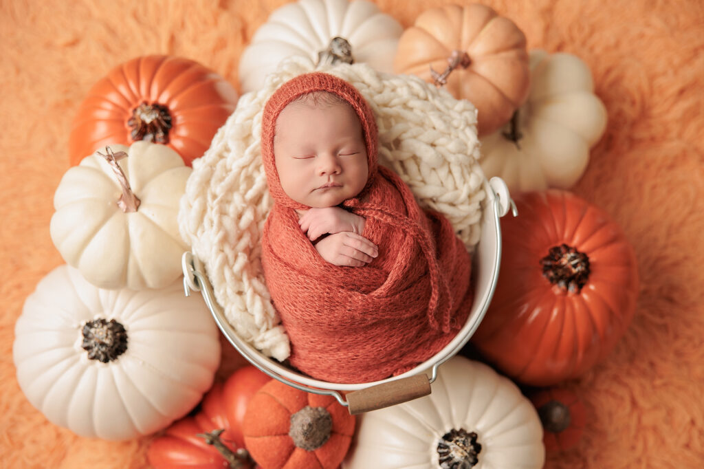 Amanda Dams Photography Newborn Laon Lily 1 Amanda Dams Photography Newborn Laon Lily 1