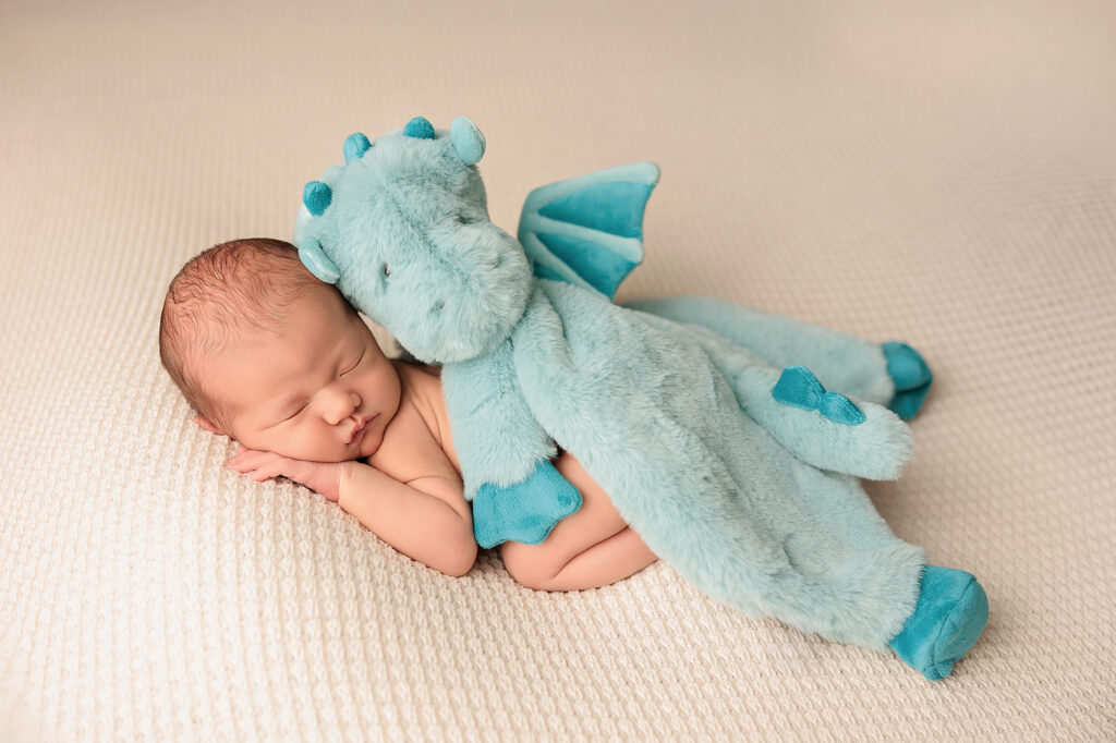 Amanda Dams Photography Newborn Laon Lily 6 Amanda Dams Photography Newborn Laon Lily 6