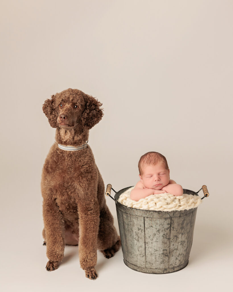 Amanda Dams Photography Newborn Elio 30 Amanda Dams Photography Newborn Elio 30