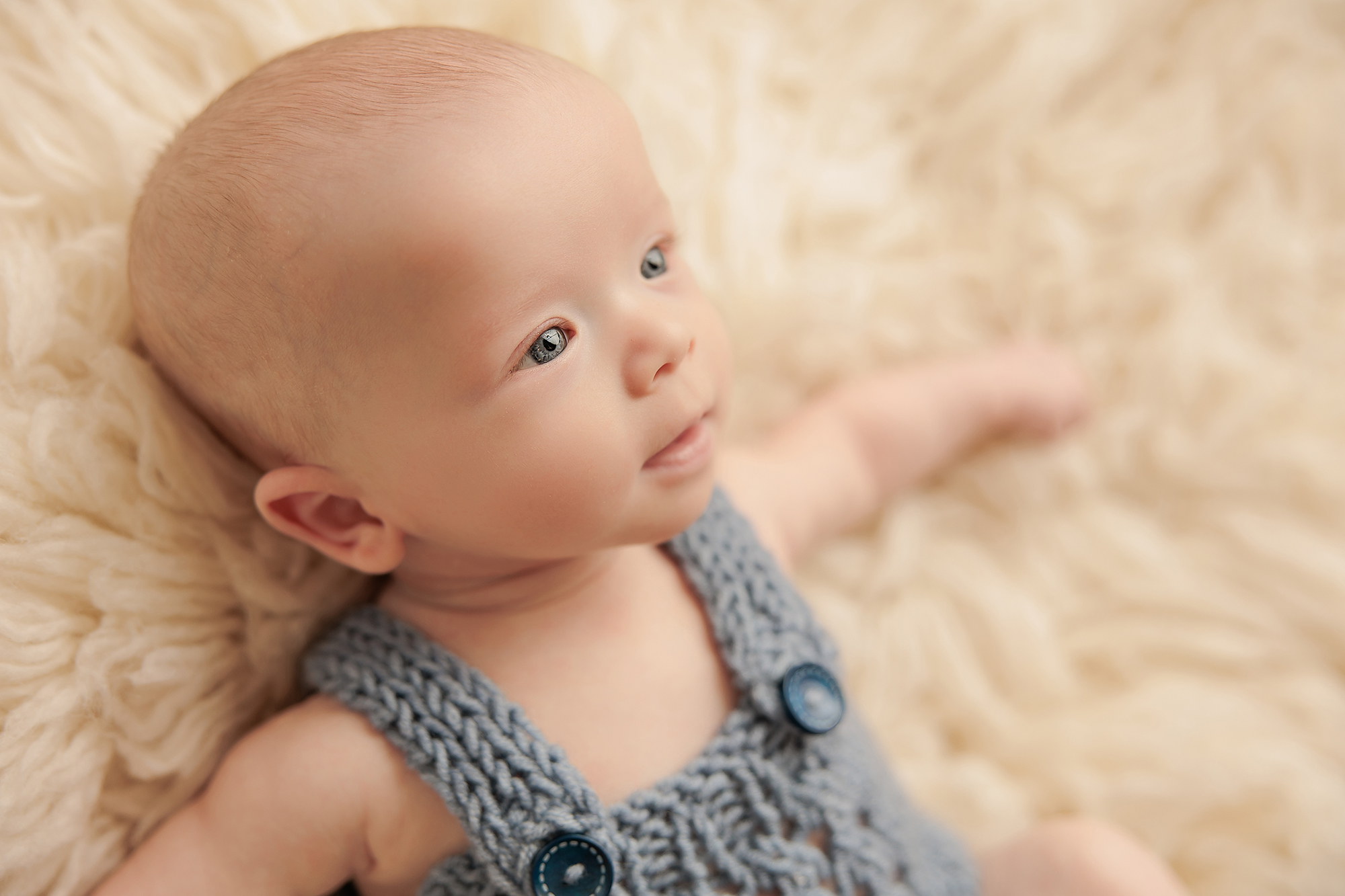 Amanda Dams Photography Baby Ford 3