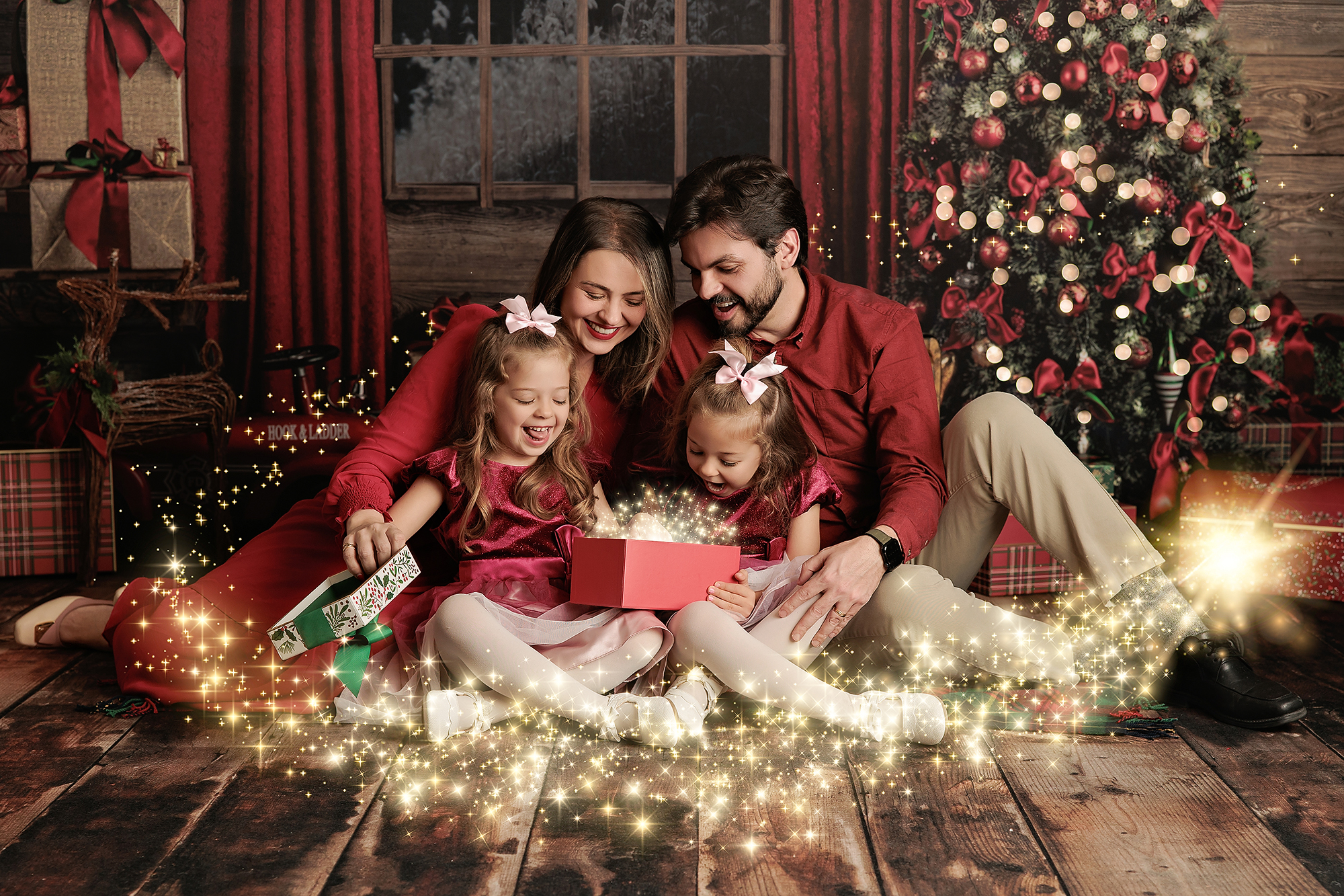 Amanda Dams Photography Christmas 2025 6